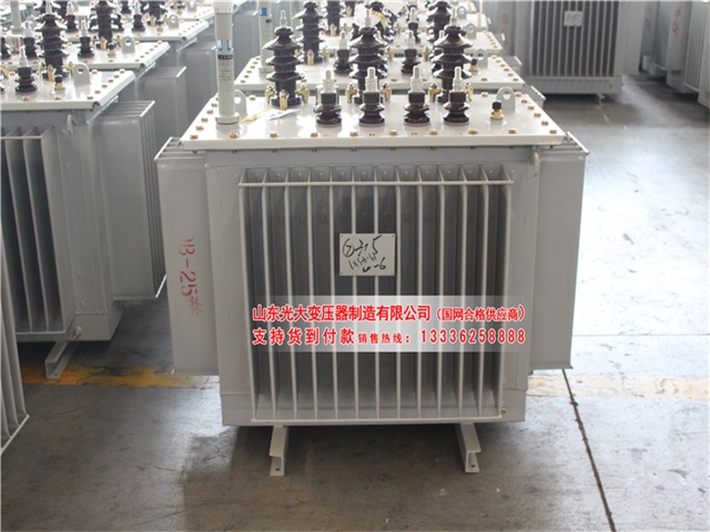 甘南S11-6300KVA油浸式变压器